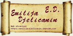 Emilija Đelićanin vizit kartica
